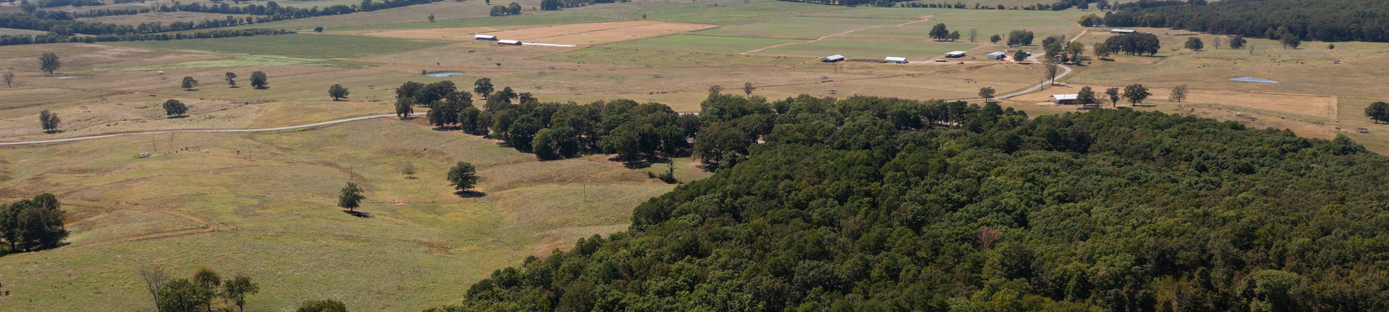 Arkansas Farmland